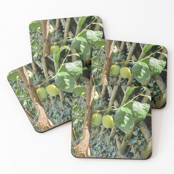Item preview, Plums on tree designed and sold by doctorezzo.