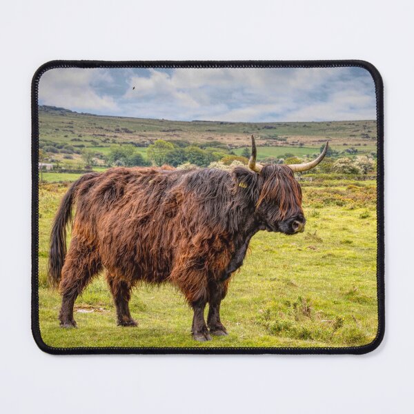 Item preview, Beast of Bodmin designed and sold by Viv Thompson Photography .