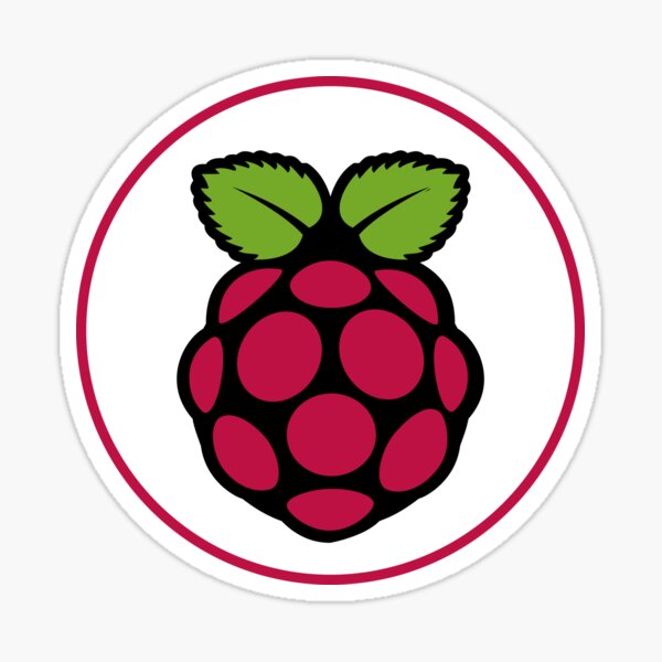 Item preview, Raspberry Pi designed and sold by Redstrawberry13.