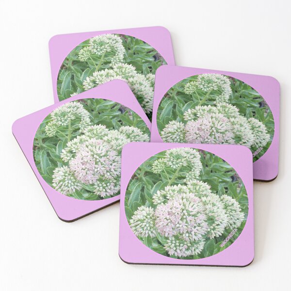 Item preview, Floral   Sedum by Wagonesta  designed and sold by Wagonesta.