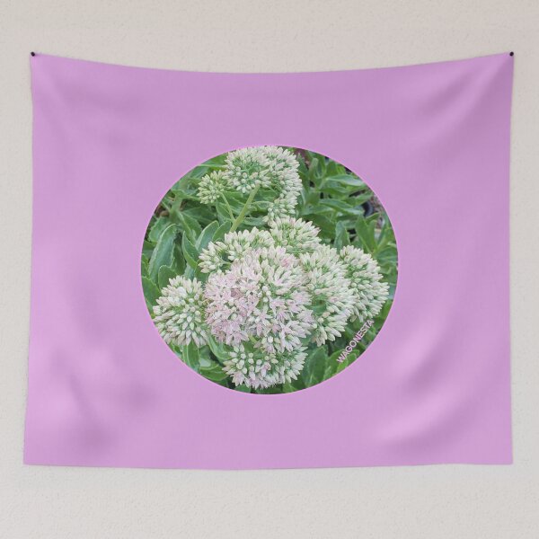 Item preview, Floral   Sedum by Wagonesta  designed and sold by Wagonesta.