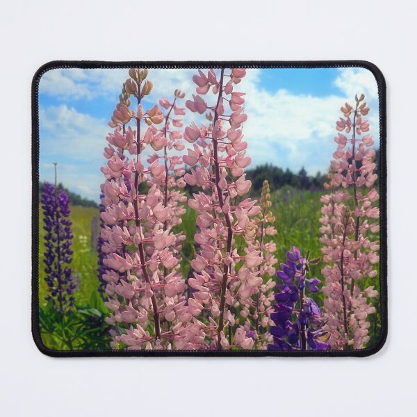 Item preview, Lupins designed and sold by Alla Gill.
