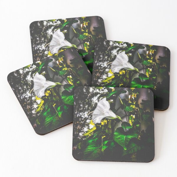 Item preview, Morning Glory designed and sold by Steve Walser.