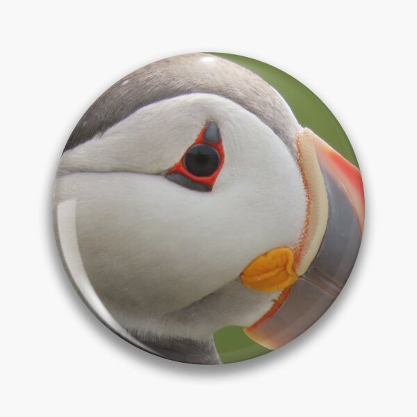 Item preview, Atlantic puffin (Fratercula arctica) designed and sold by Vidarleikur.