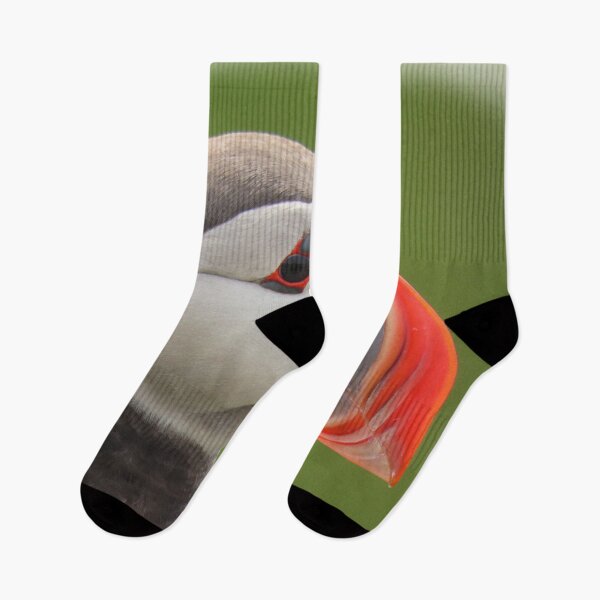 Item preview, Atlantic puffin (Fratercula arctica) designed and sold by Vidarleikur.