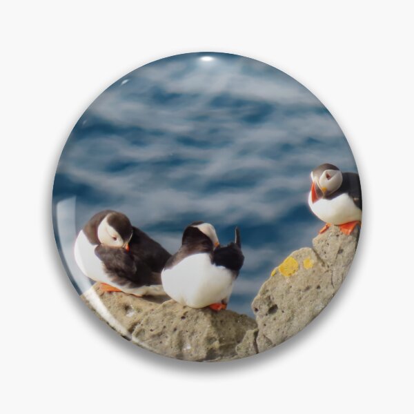Item preview, Atlantic puffin (Fratercula arctica)  designed and sold by Vidarleikur.