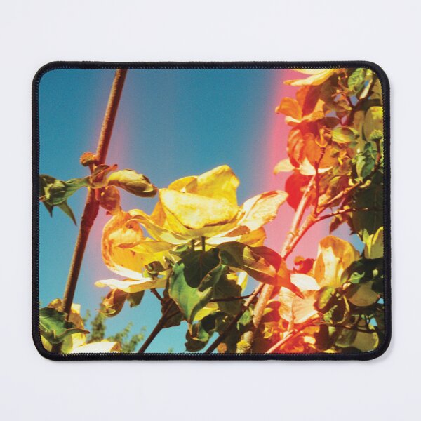 Item preview, #111 - Flowers with Light Leak designed and sold by lewiswhatsisnme.