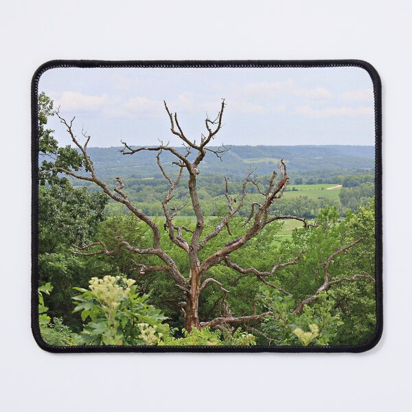 Item preview, View from Horseshoe Mound Preserve Featuring a Dead Tree designed and sold by Martha Sherman.