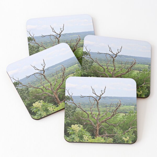 Item preview, View from Horseshoe Mound Preserve Featuring a Dead Tree designed and sold by Martha Sherman.