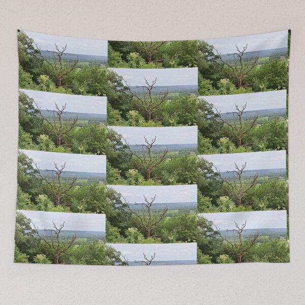 Item preview, View from Horseshoe Mound Preserve Featuring a Dead Tree designed and sold by Martha Sherman.