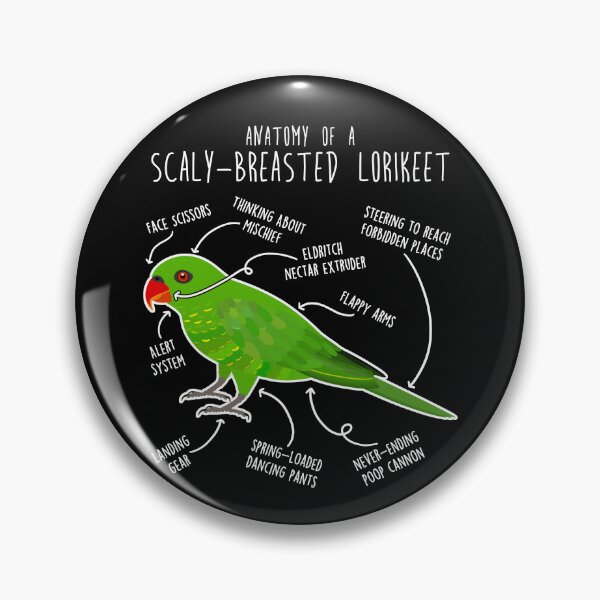 Item preview, Scaly-Breasted Lorikeet Parrot Anatomy designed and sold by Clara Hollins.