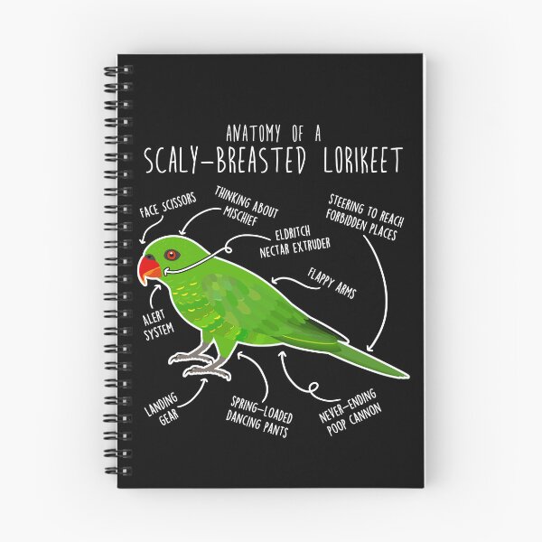 Item preview, Scaly-Breasted Lorikeet Parrot Anatomy designed and sold by Clara Hollins.
