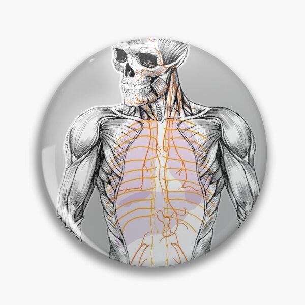Item preview, Human body designed and sold by Masatitostores.