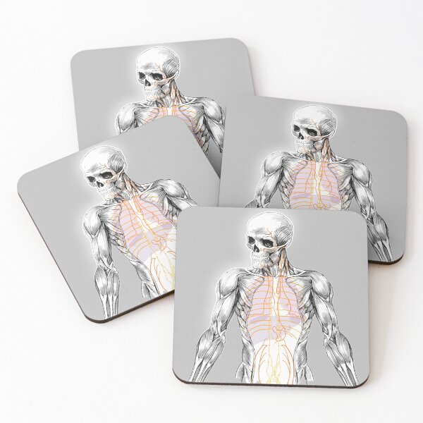 Item preview, Human body designed and sold by Masatitostores.