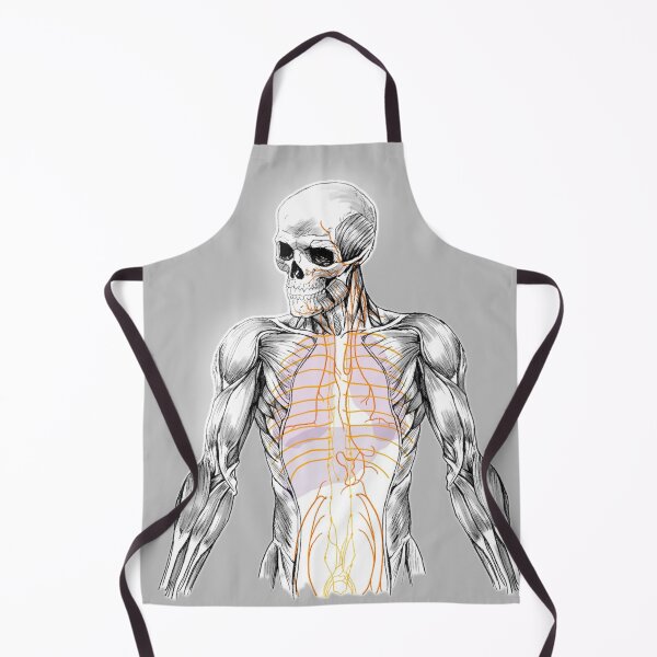 Item preview, Human body designed and sold by Masatitostores.