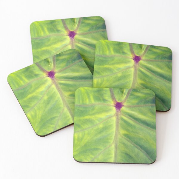 Item preview, Closeup of taro leaf designed and sold by Gaspar Avila.
