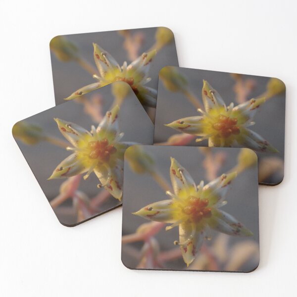 Item preview, Star Flower designed and sold by HenryLt4.
