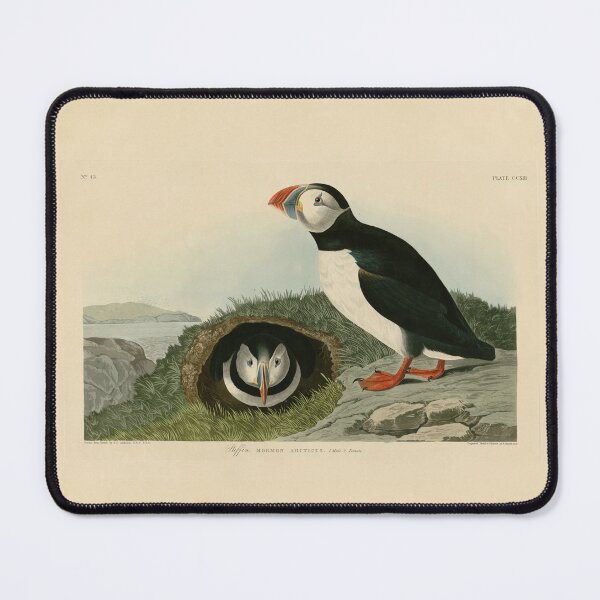 Item preview, Vintage Puffin Illustration designed and sold by BeaSchoney.