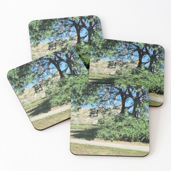 Item preview, Landscape Photography 7 designed and sold by Spaghetti13.