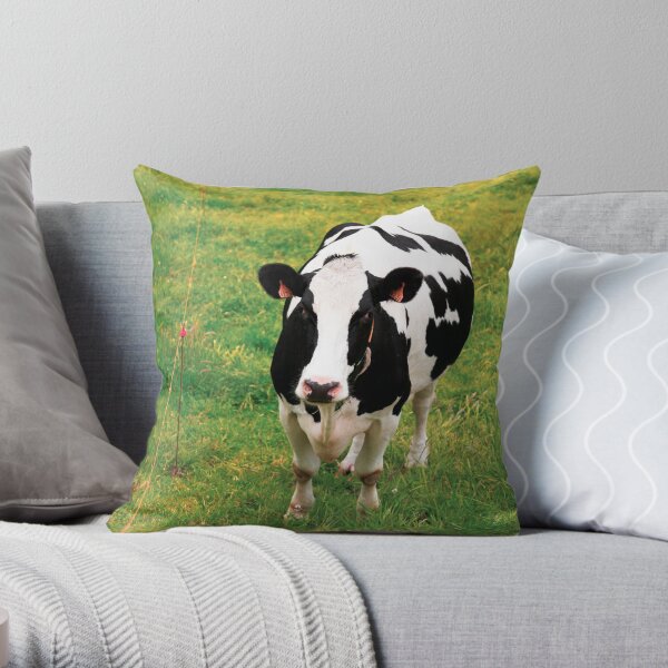 Holstein dairy cattle Throw Pillow