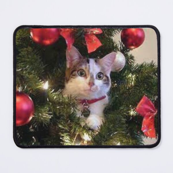 Item preview, The Evolution of Domestic Cats designed and sold by ConnorCooka.