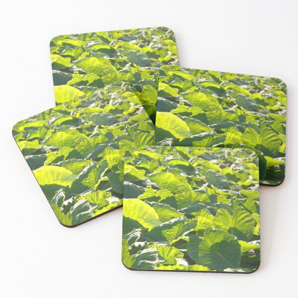 Item preview, Taro plantation designed and sold by Gaspar Avila.