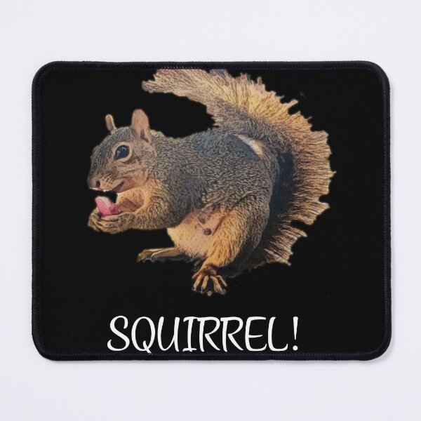 Item preview, SQUIRREL! designed and sold by NeoRarities.