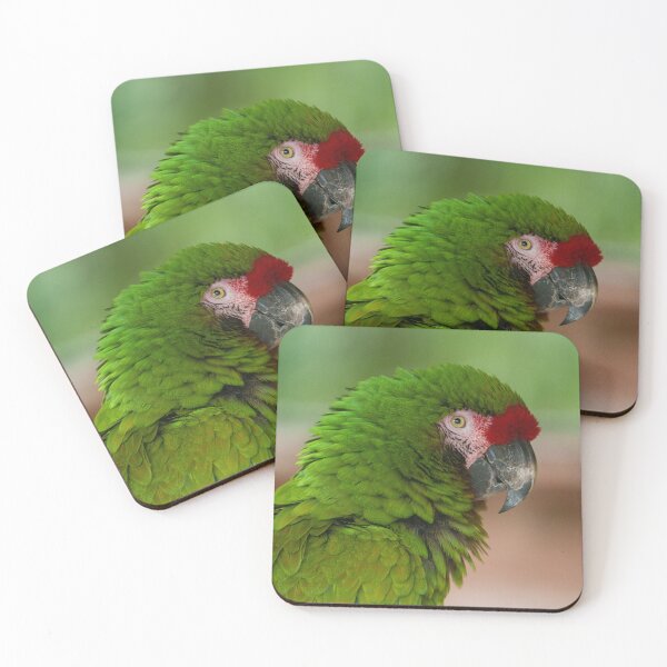 Item preview, Vibrant Macaw Parrot in Profile View designed and sold by rawshutterbug.