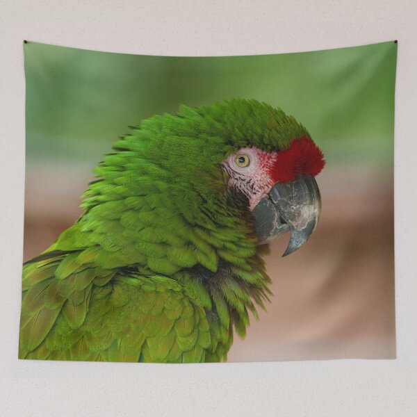 Item preview, Vibrant Macaw Parrot in Profile View designed and sold by rawshutterbug.