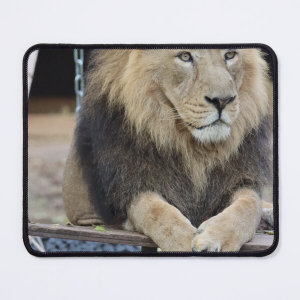 Item preview, The Indian Lion designed and sold by Alfi1980.