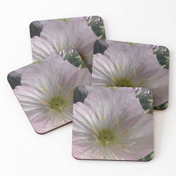 Item preview, Primrose designed and sold by Betsy Phillips.