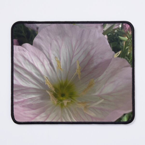 Item preview, Primrose designed and sold by Betsy Phillips.