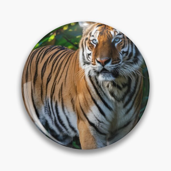 Item preview, Majestic Bengal tiger  designed and sold by cu-animals-te.