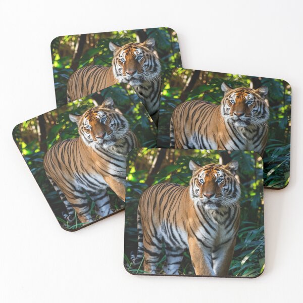 Item preview, Majestic Bengal tiger  designed and sold by cu-animals-te.