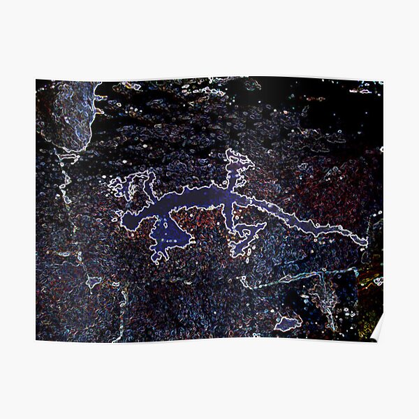 Rock Art Gecko Poster