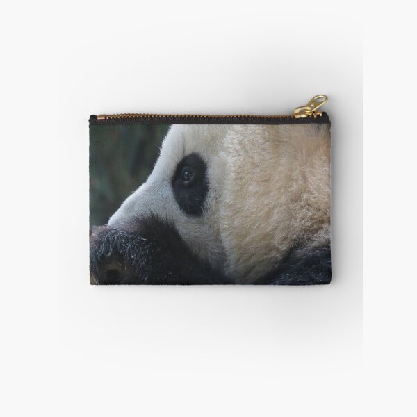 Item preview, Please Use Both Paws To hold Carefully - China Panda Close up - Guangzhou designed and sold by exploramum.