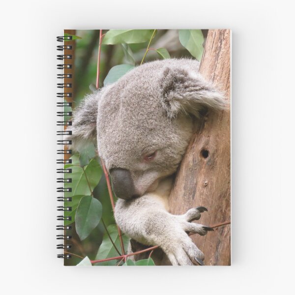 Item preview, Australian Koala Asleep In The Tree designed and sold by exploramum.