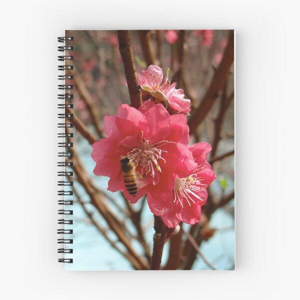 Item preview, Bee Careful - Cherry Blossom at China Baomo Garden - Chinese New Year - Guangzhou, China designed and sold by exploramum.