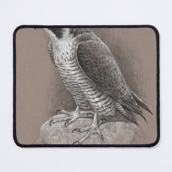 Item preview, peregrine falcon designed and sold by LucaMilioneArt.