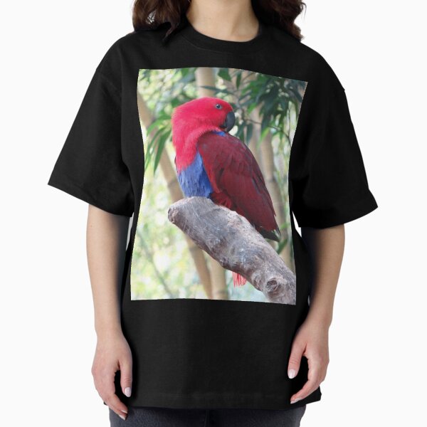 Item preview, Eclectus Roratus - Bright Red Bird designed and sold by exploramum.