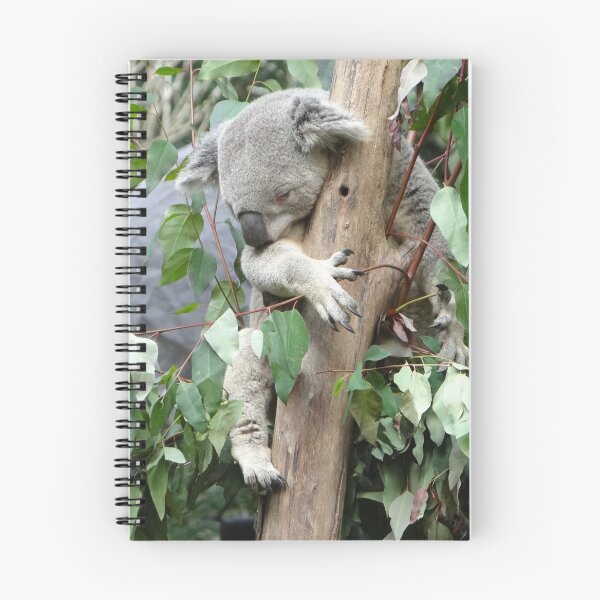 Item preview, Australian Koala Asleep In the Gum Tree designed and sold by exploramum.