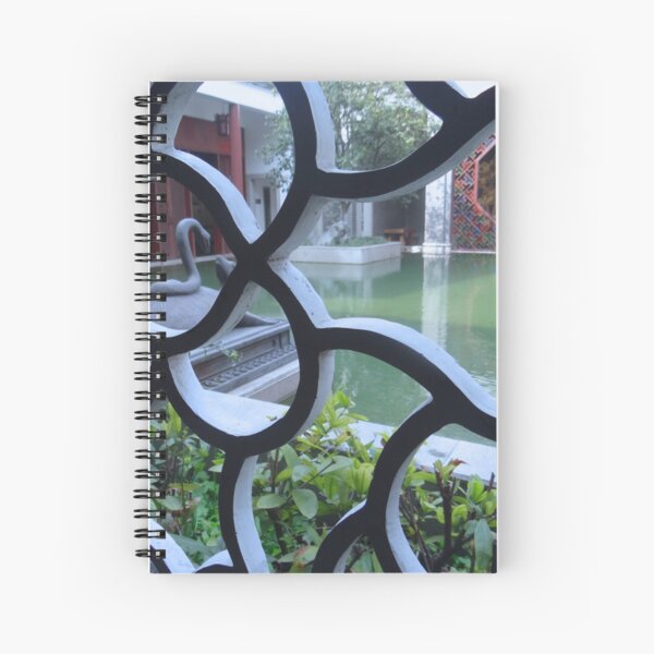 Item preview, Through The Ornate Wall - Guangzhou Medicine Centre - China designed and sold by exploramum.