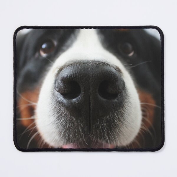 Item preview, Bernese Mountain Dog designed and sold by jadelen.