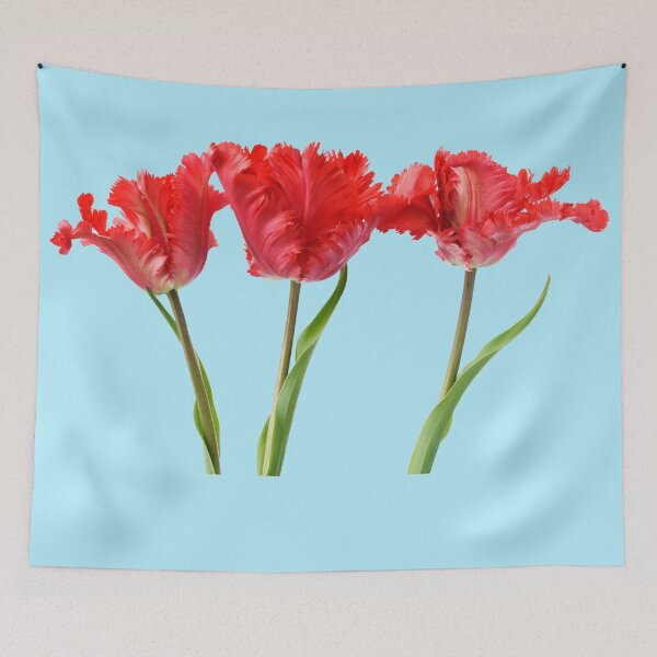 Item preview, Tulipa  'Garden Fire'   Parrot Tulip  designed and sold by Chris Burrows.