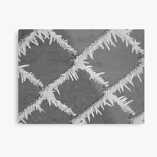 Pogobarb Metal Print