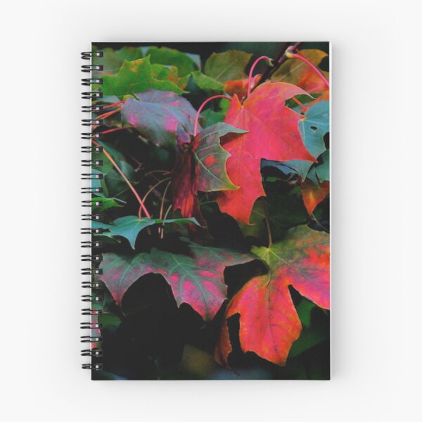 Item preview, Red autumn leaves designed and sold by keithmilligan.