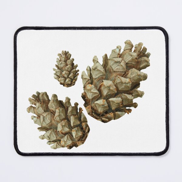 Item preview, A conifer cone or pinecone designed and sold by wattchii1981.