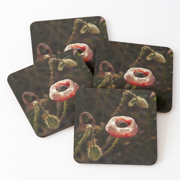 Item preview, wilted poppy designed and sold by Fotoboom.