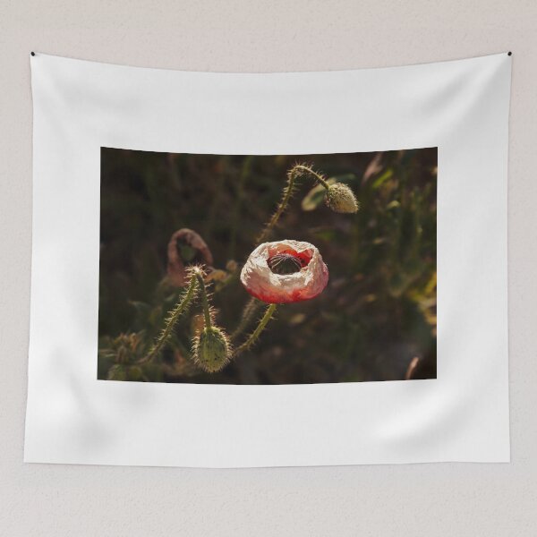 Item preview, wilted poppy designed and sold by Fotoboom.