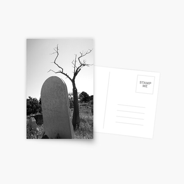 Tombstone Tree Postcard